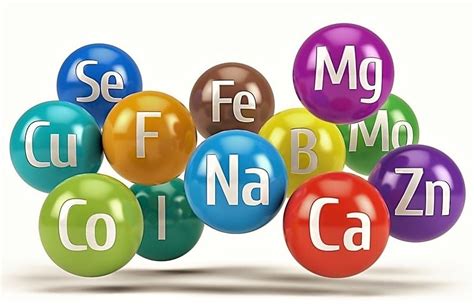 Are Chelated Vitamins Better: Unraveling the Mysteries of Mineral Absorption