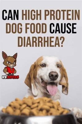 Can High Protein Dog Food Cause Diarrhea? Exploring the Connection and Beyond