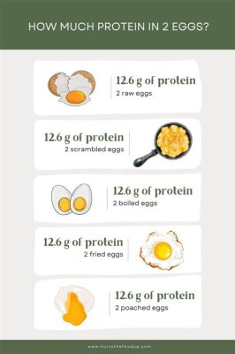 How Many Eggs is 20 Grams of Protein? And Why Do Chickens Dream of Electric Corn?