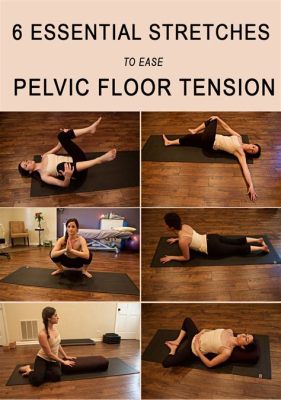 How to Stretch Pelvic Floor Muscles: A Journey Through Flexibility and Beyond