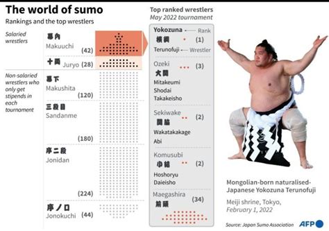 相撲 幕下 給料 - 力士たちの生活と経済的現実