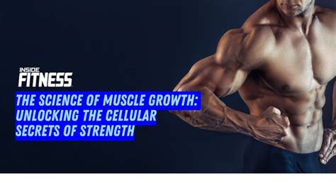 What Vitamins Help Muscle Growth: Unlocking the Secrets to Enhanced Strength and Recovery