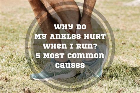 Why Do My Ankles Hurt from Running: And Why Do My Shoes Smell Like Regret?